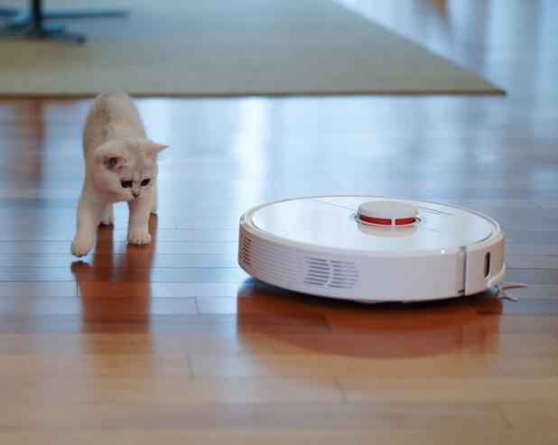 Как выбрать домашний пылесос и на что обращать внимание при покупке