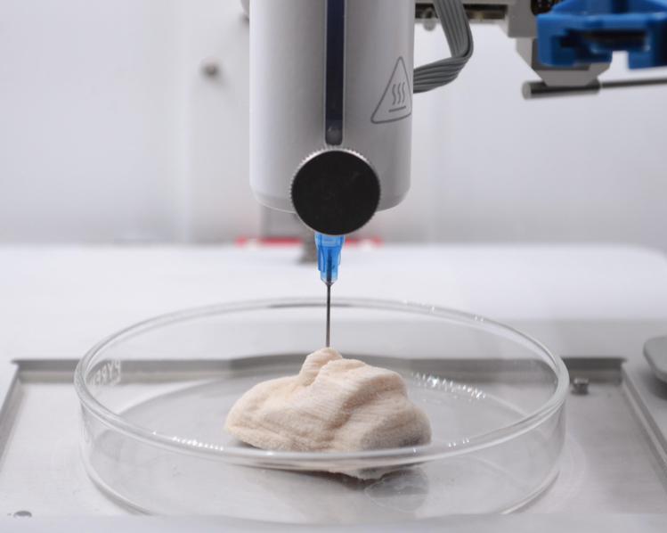 Швейцарские исследователи создали новый биокомпозит для 3D